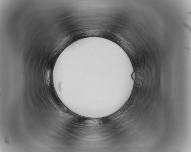 X0000097820118200804111024