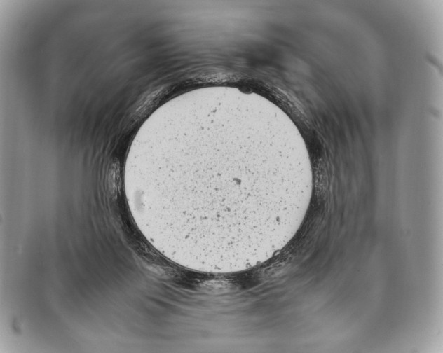 X0000097820119200804111024