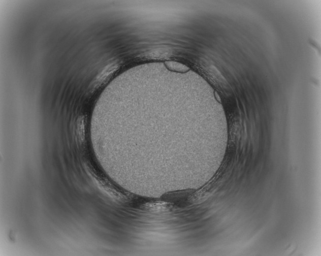 X0000097820120200804111024