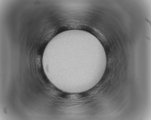 X0000097820121200804111024