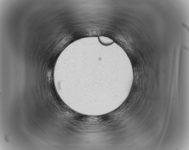 X0000097820123200804111024