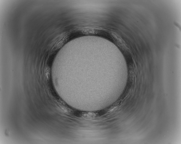 X0000097820125200804111024