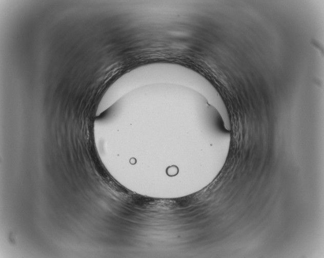 X0000097820128200804111024