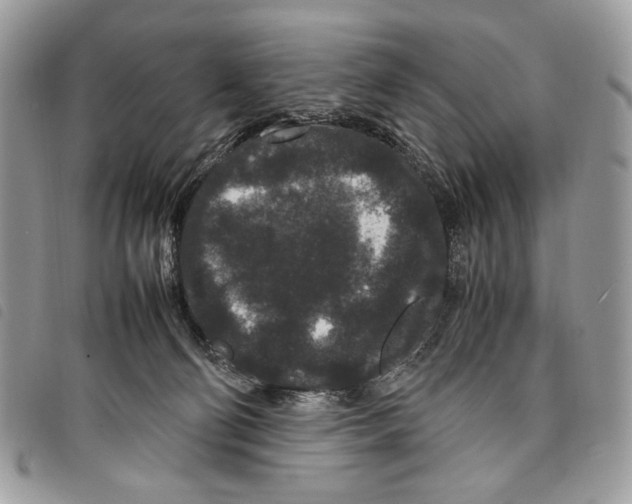 X0000097820130200804111024