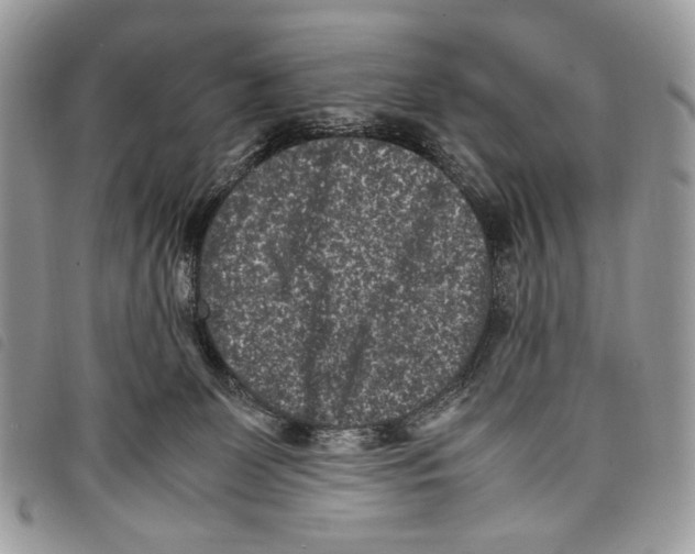 X0000097820131200804111024