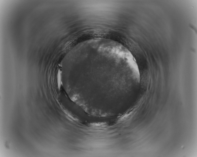 X0000097820137200804111024