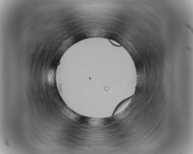 X0000097820142200804111024