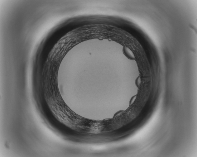 X0000097820143200804111024