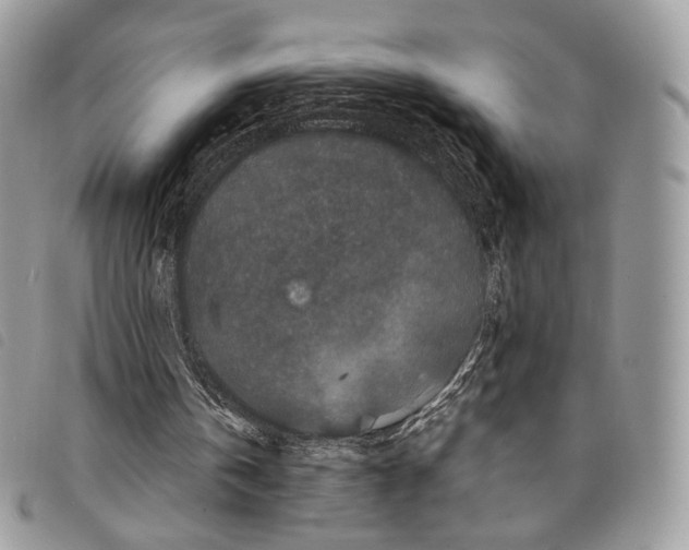 X0000097820146200804111023