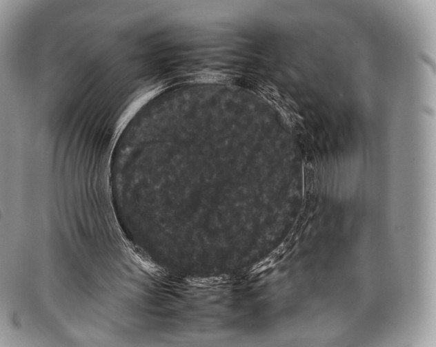 X0000097820147200804111023