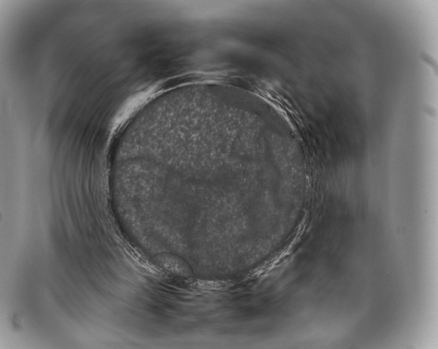 X0000097820149200804111023