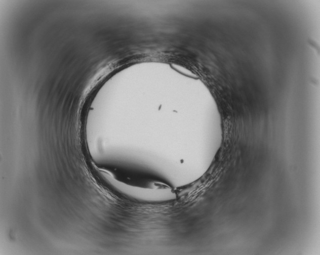 X0000097820150200804111023