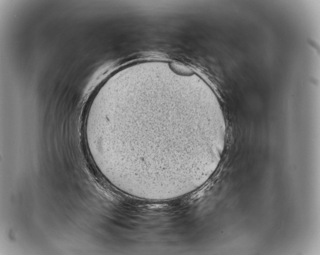 X0000097820151200804111023