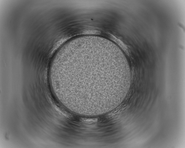 X0000097820155200804111023