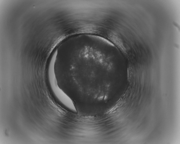 X0000097820156200804111023