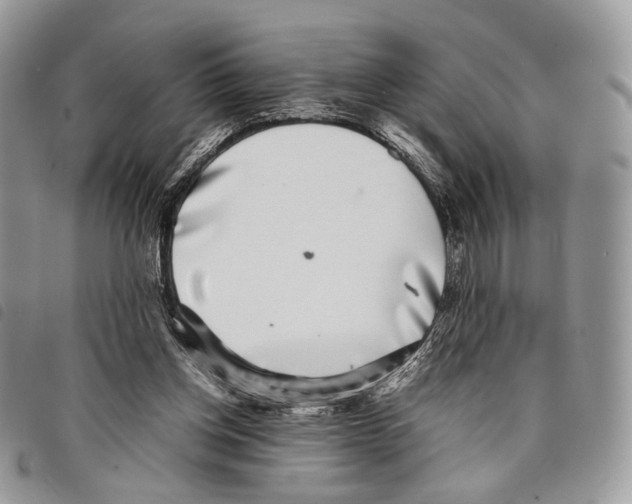 X0000097820158200804111023