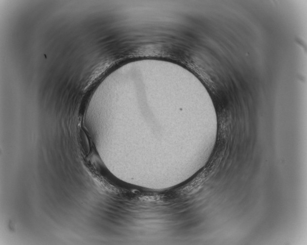 X0000097820160200804111023