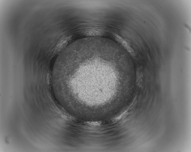 X0000097820161200804111023