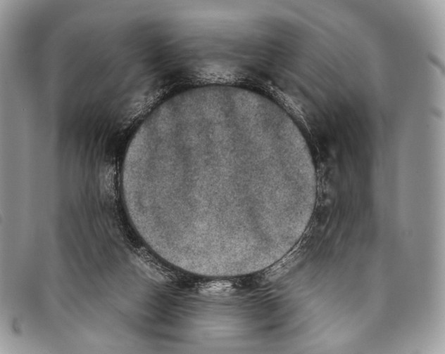 X0000097820162200804111023