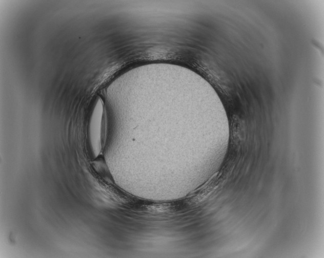 X0000097820164200804111023