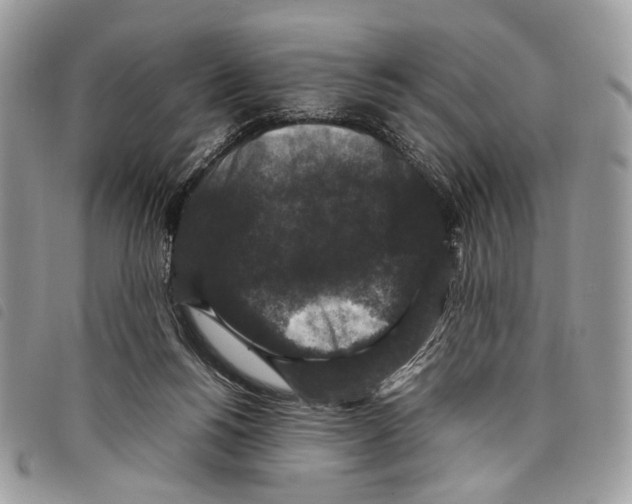 X0000097820168200804111023