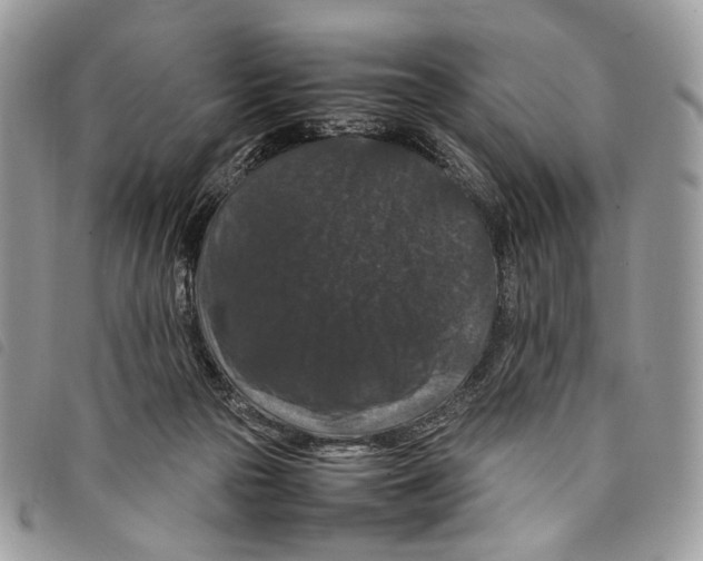 X0000097820169200804111023