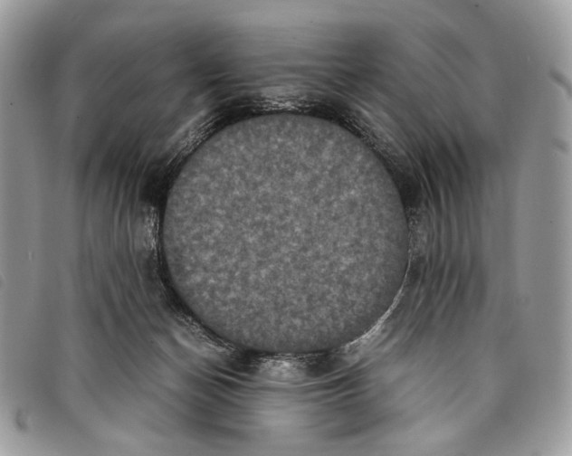 X0000097820174200804111023