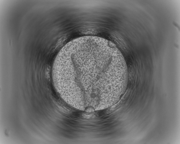 X0000097820175200804111023