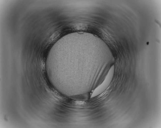 X0000097820176200804111023