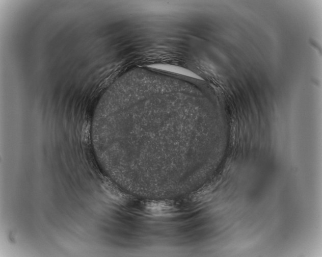 X0000097820177200804111023