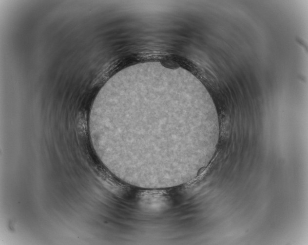 X0000097820179200804111023