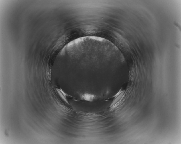 X0000097820180200804111023