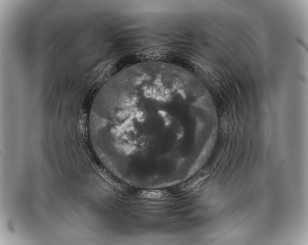 X0000097820181200804111023