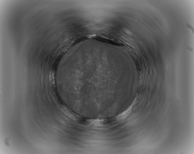 X0000097820182200804111023