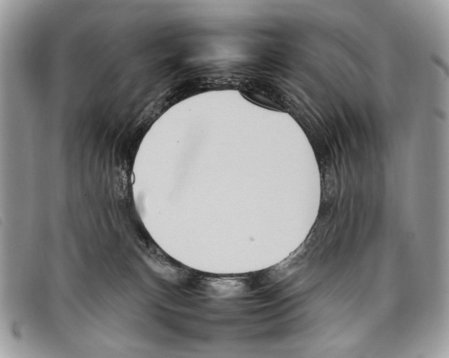 X0000097820183200804111023