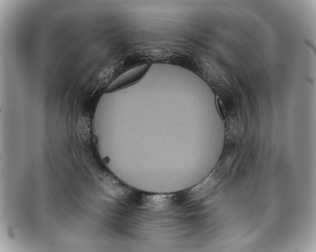 X0000097820184200804111023