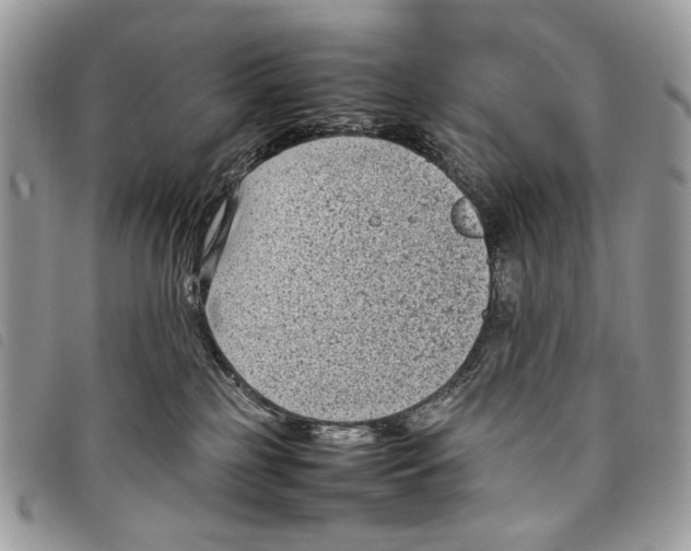 X0000097820185200804111023