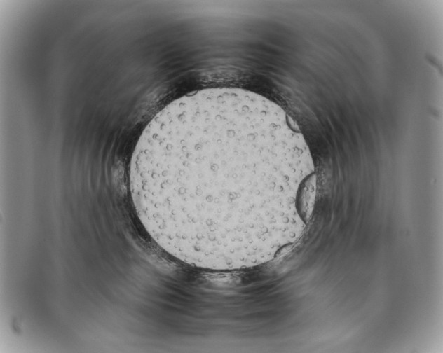 X0000097820187200804111023