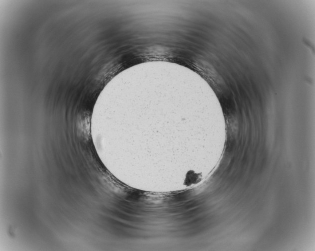 X0000097820190200804111023