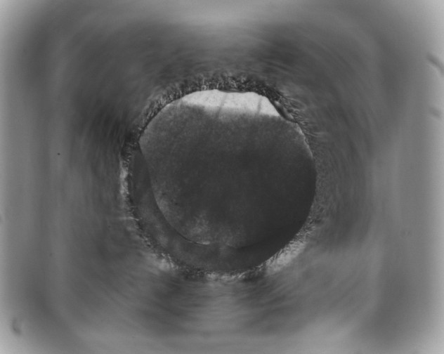 X0000097820192200804111024