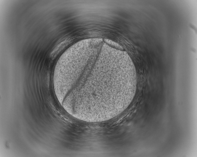 X0000097820194200804111023