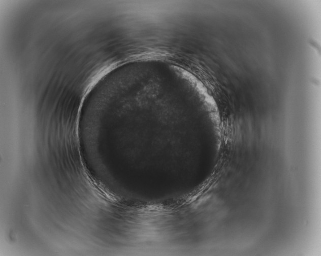 X0000097820196200804111023