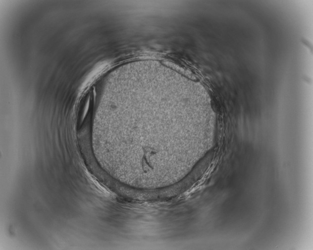 X0000097820197200804111023