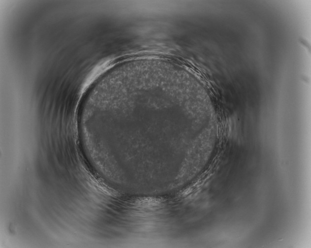 X0000097820198200804111023