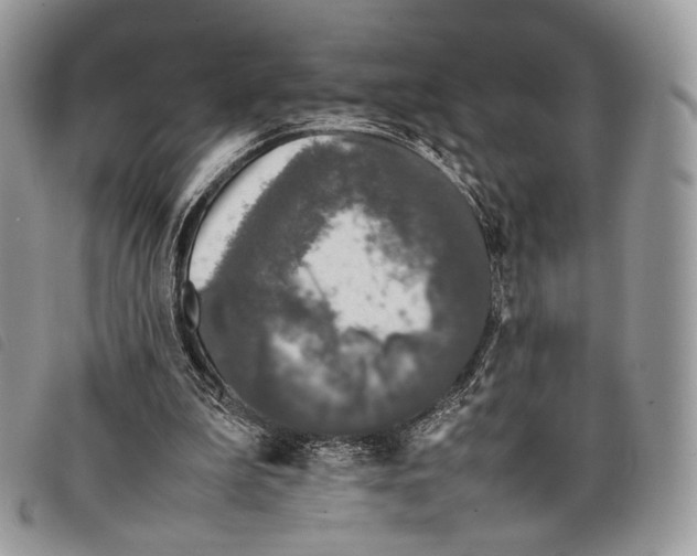 X0000097820199200804111023