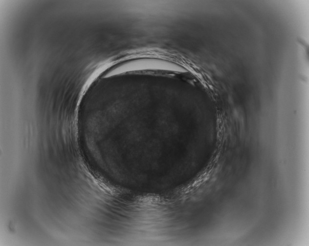 X0000097820200200804111023