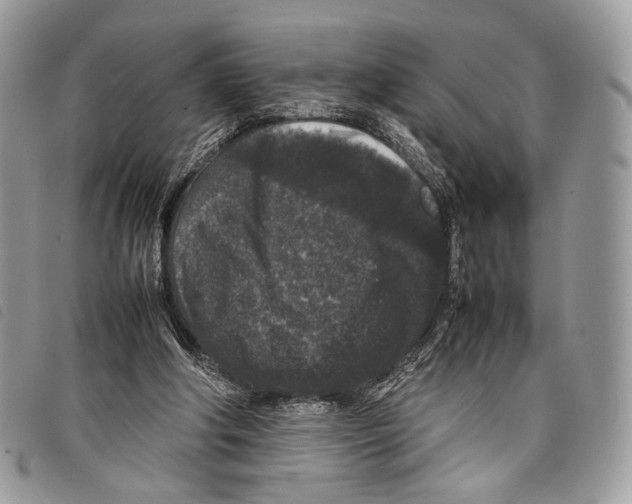 X0000097820202200804111023