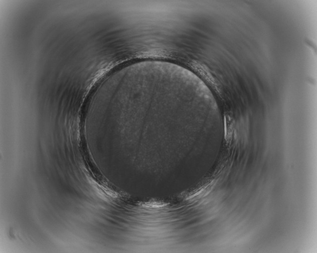 X0000097820204200804111023