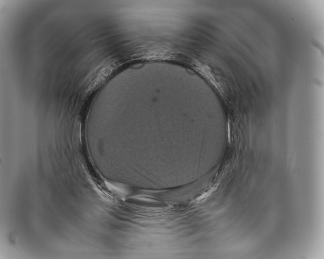 X0000097820205200804111023