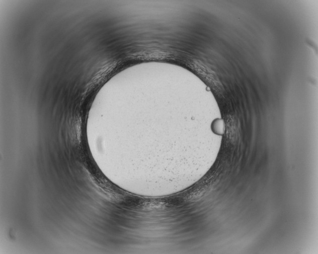 X0000097820206200804111023